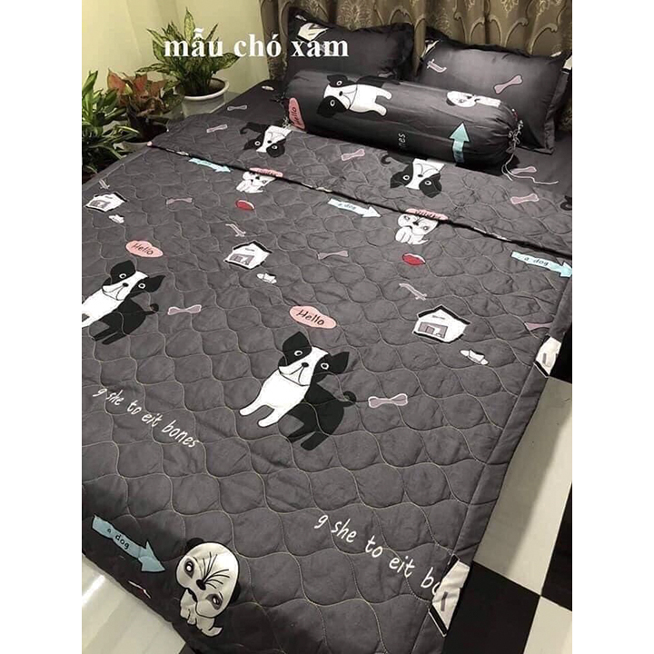 Bộ Chăn Ga poly cotton 5 Món