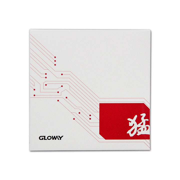 Ổ cứng SSD Gloway 120GB SATA III