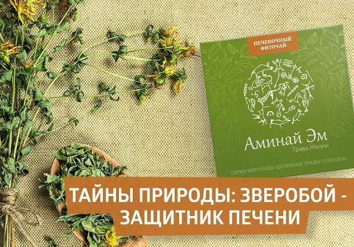 Trà thải độc gan Aminai Em- Siberia( Liên Bang Nga)