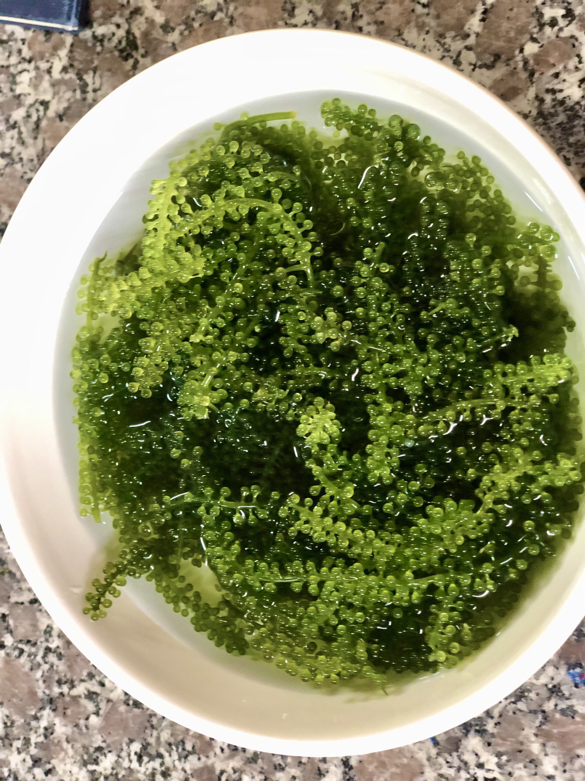 COMBO 2 GOI RONG NHO BIỂN