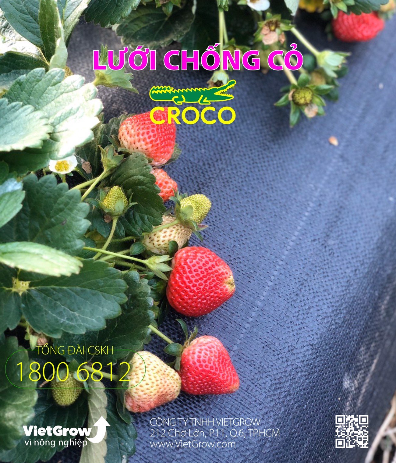 LƯỚI CHỐNG CỎ / BẠT CHỐNG CỎ /BẠT DIỆT CỎ THƯƠNG HIỆU CROCO