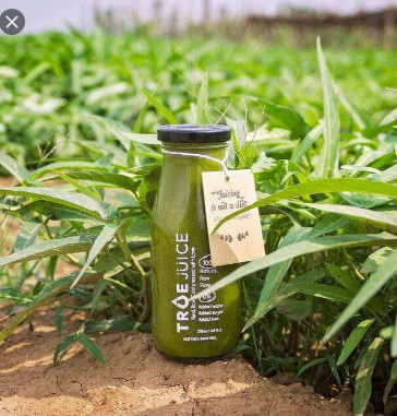 [HCM]Chai Thủy Tinh 300ml nắp Thiết Đen