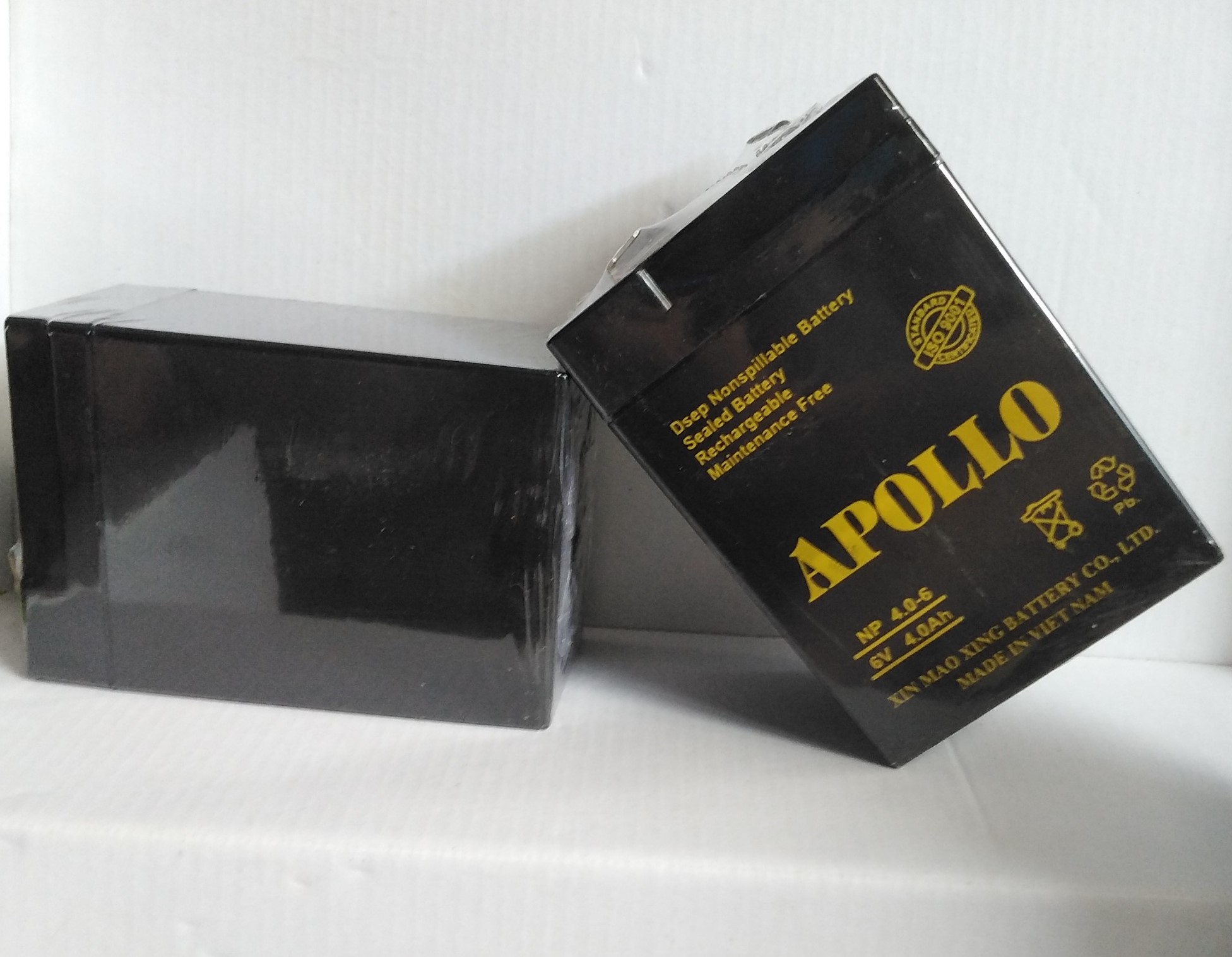 Ắc quy Apollo 6V 4ah