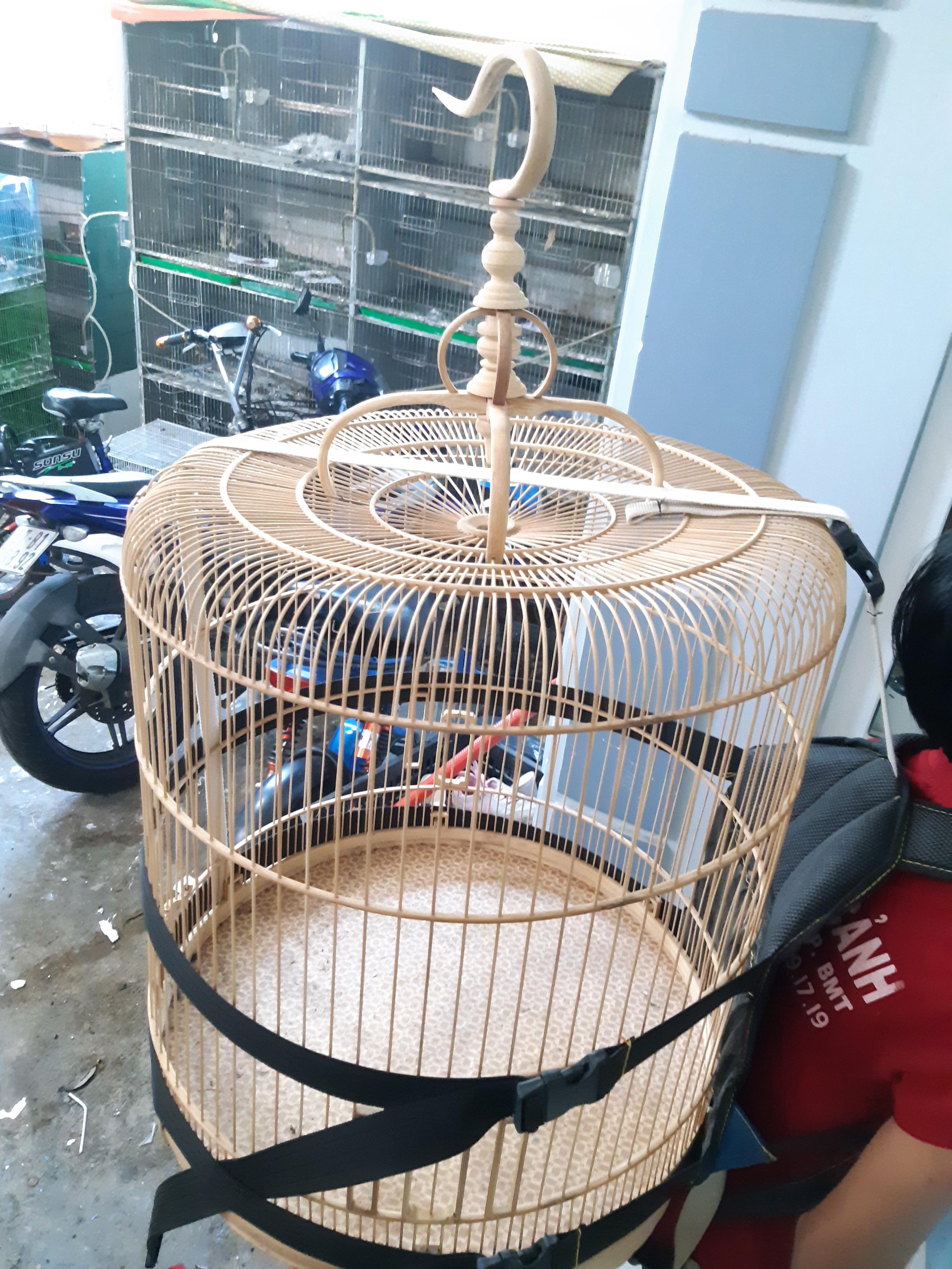 Balo đeo lồng chim-kênh chim cảnh