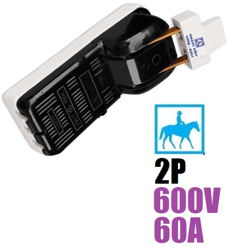 Cầu Dao Điện Cao Cấp 2 Pha 2P 60A 600V