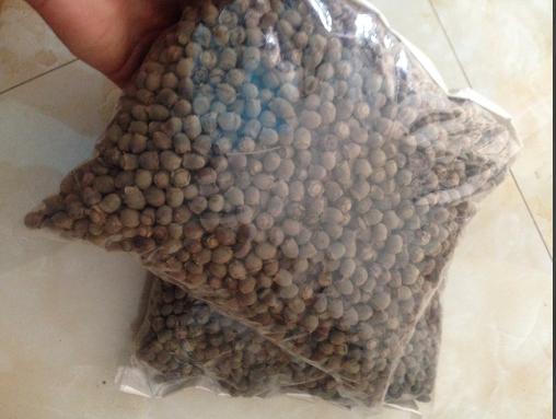 5kg Sim Rừng Khô Sấy Khô