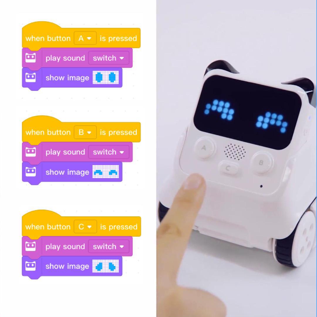 Khóa học Lập trình điều khiển robot codey rocky