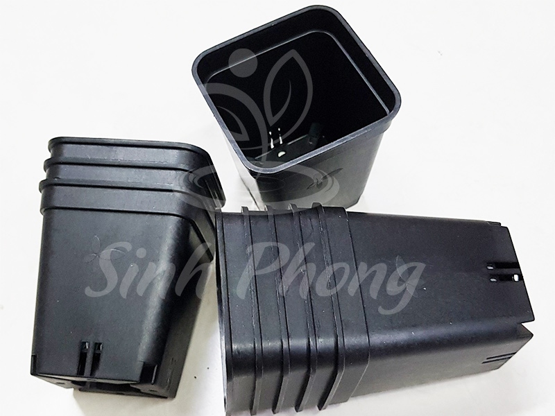 Chậu vuông 7x7 đen (set 50 cái)