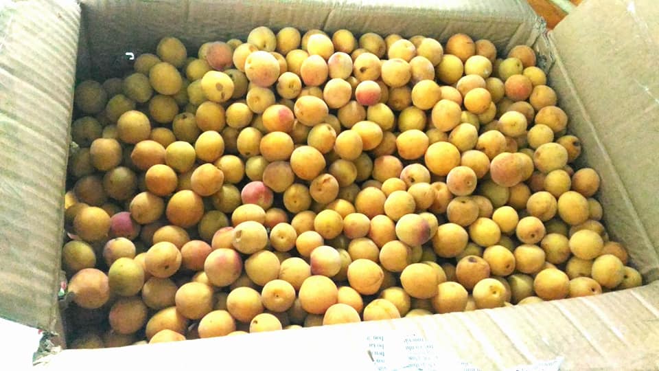 [HCM]MƠ NGÂM ĐƯỜNG HÀ NỘI