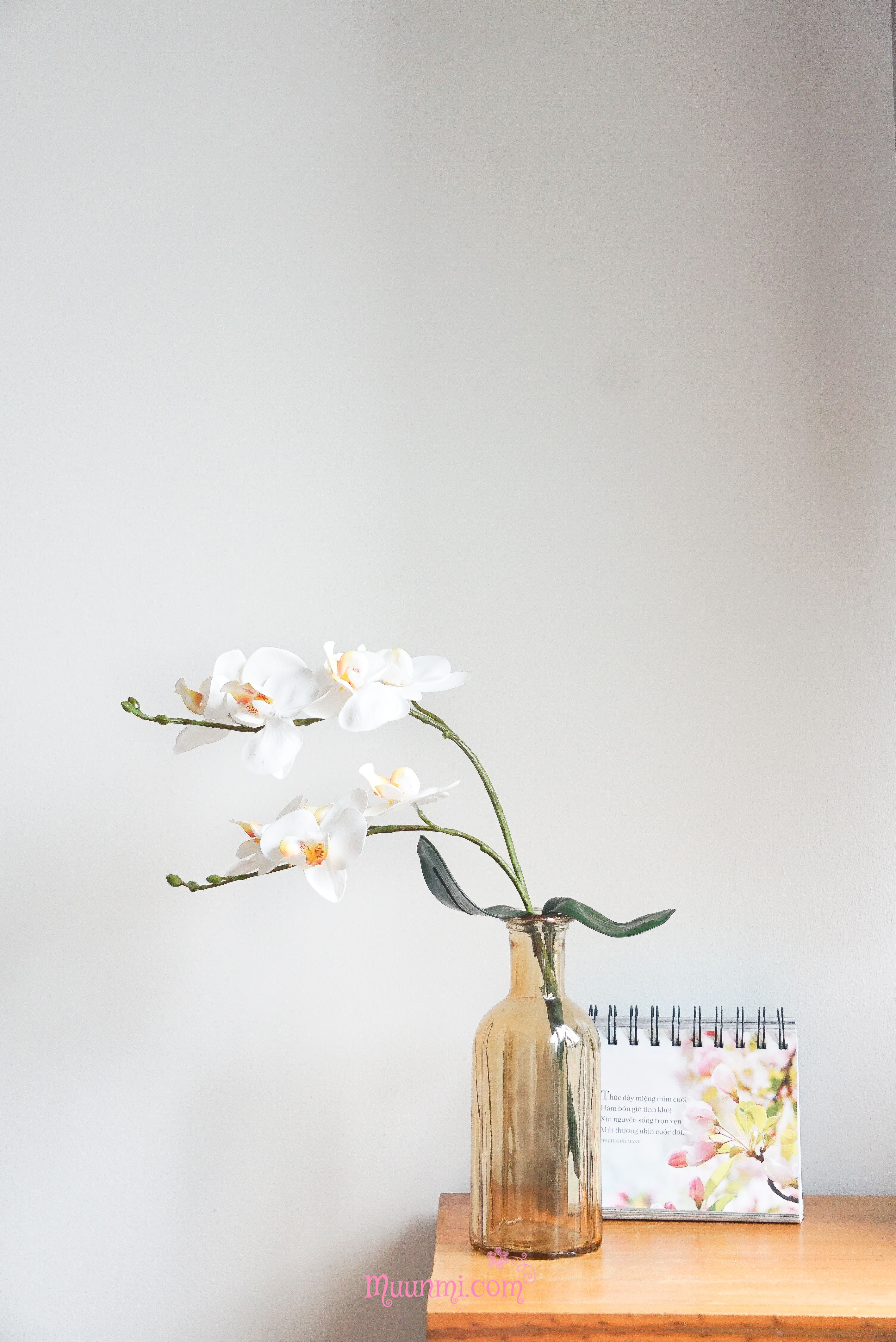 Hoa lụa 🌸 | Hoa Lan Hồ điệp (1 cây 2 nhánh hoa) rất đẹp