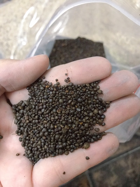 Sỏi suối và sạn suối trải bể biotop và bể thủy sinh