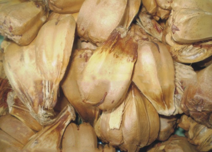 COMBO 2 ký trái dứa dại - dứa gai phơi khô