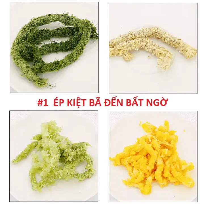 [HCM]Máy ép chậm cỏ lúa mì cao cấp loại 1