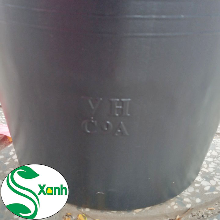 10 Chậu Nhựa Đen Mềm C9 Trồng, Uơm Cây