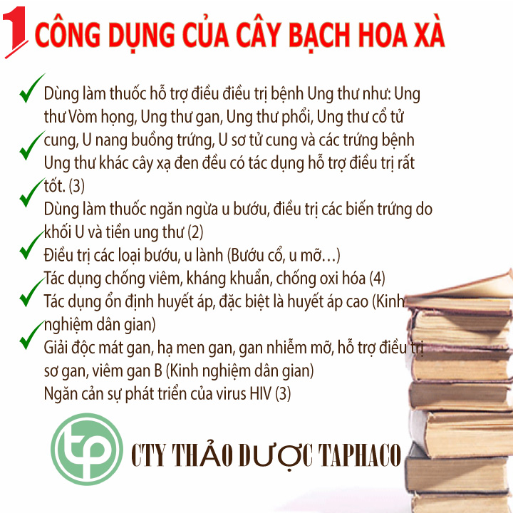 [HOT] Bạch hoa xà thiệt thảo túi nhỏ 250g - Hàng công ty chất lượng cao chuyên dùng để pha trà
