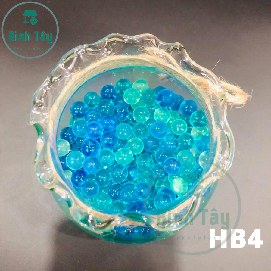 [HCM]BỂ CÁ THỦY TINH HỒ CÁ CHẬU CÂY MIỆNG BÈO BT-HB4