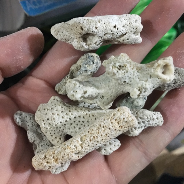 San hô vụn lọc nước bể cá - 1KG