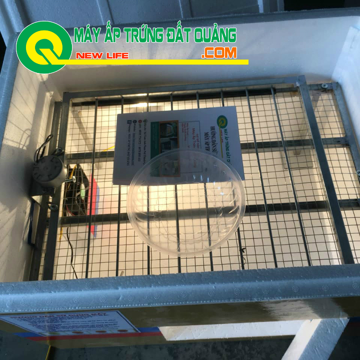 Máy ấp trứng - trọn bộ