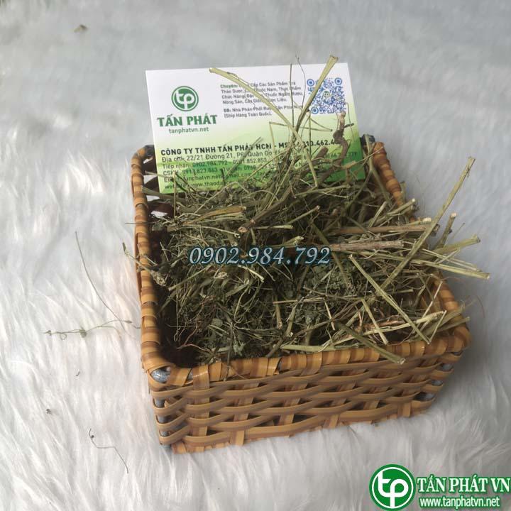 Diệp hạ châu sấy khô Tấn Phát 1kg