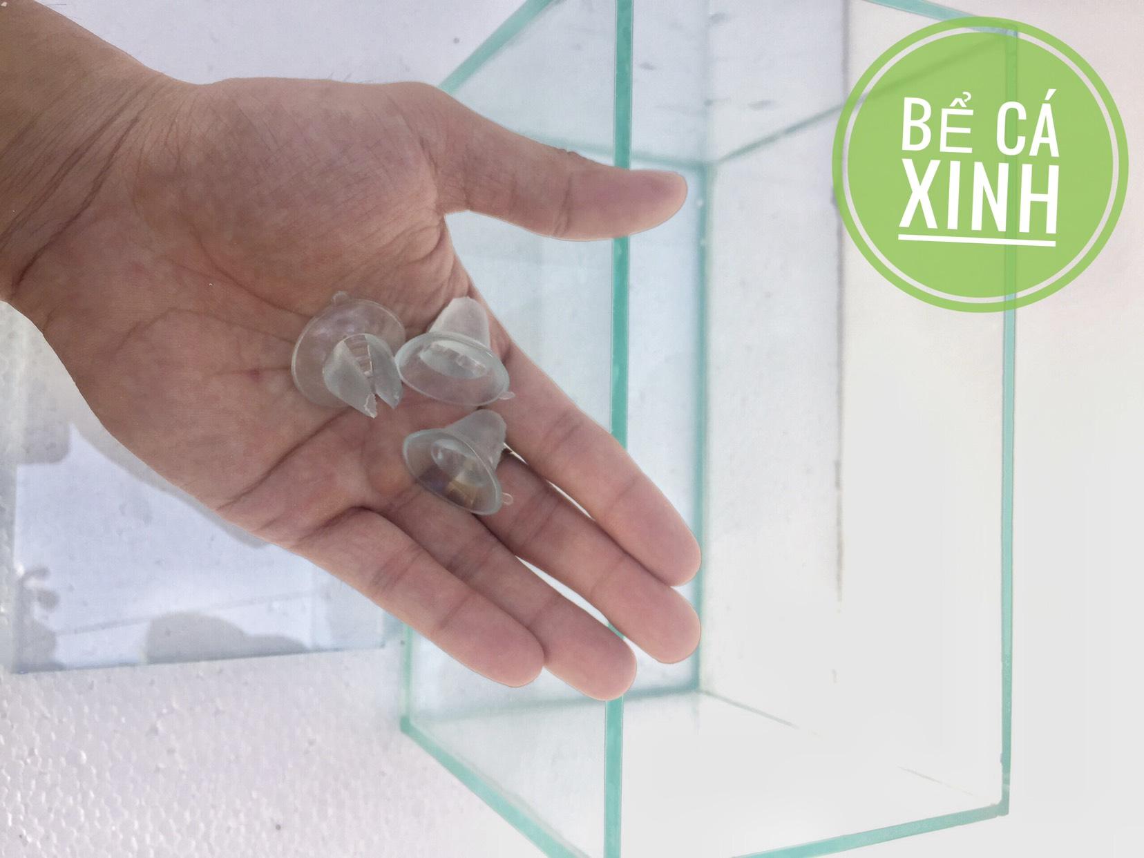 Bể cá beta 2 ngăn - bể cá cảnh mini 2 in 1 ( vách ngăn có thể tháo rời)