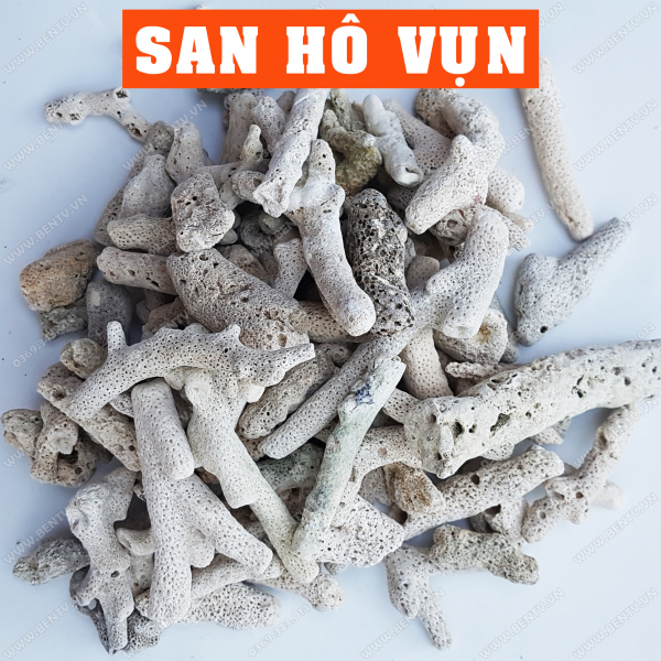 San Hô Lọc Nước Tăng PH Cho Bể Cá Cảnh (1Kg)