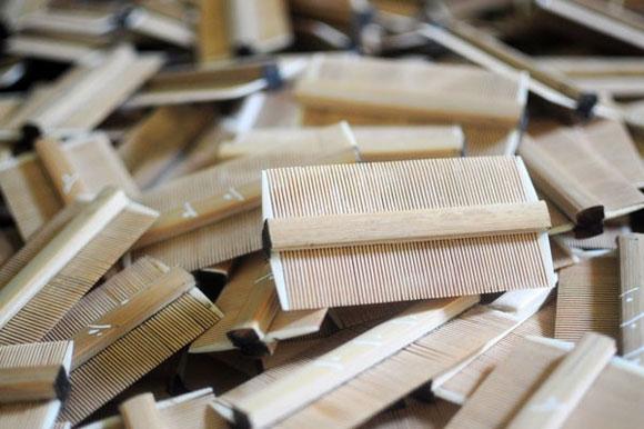 Lược bí chải chấy - chí loại I
