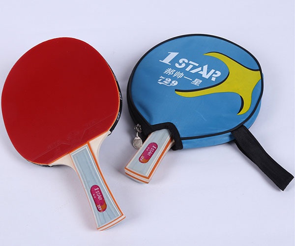 Vợt Bóng Bàn giá rẻ 729 1Star