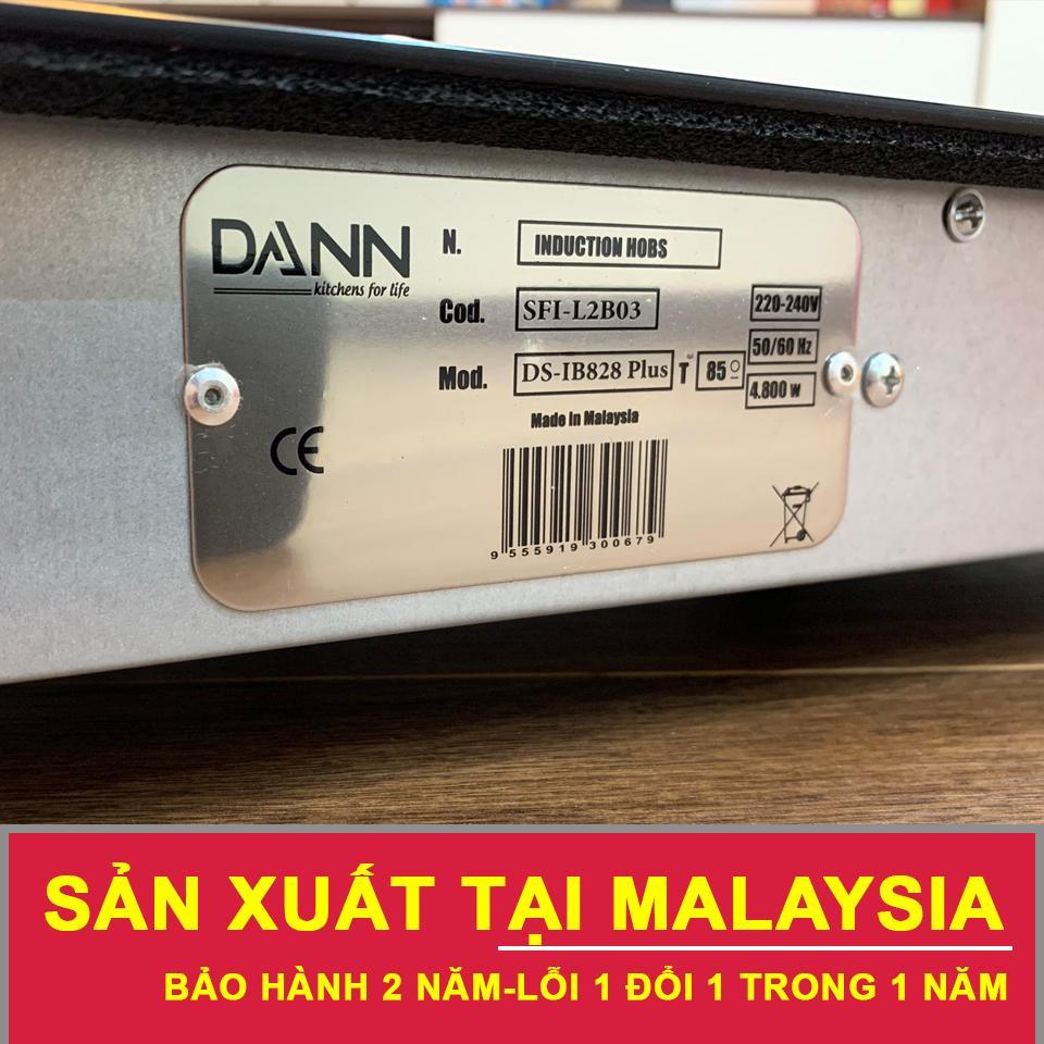 Bếp từ Dann DS-IB828 Plus