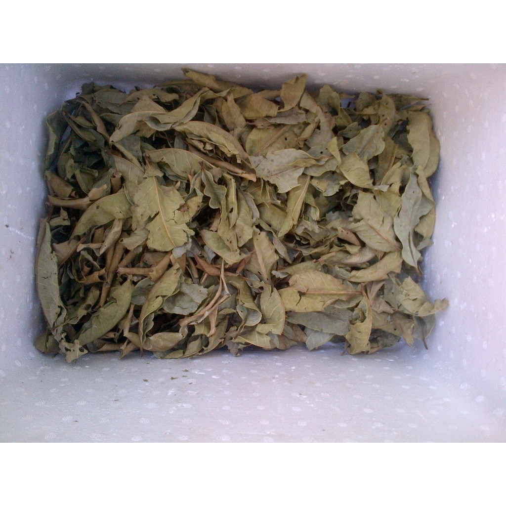 Lá Vối khô (1kg)