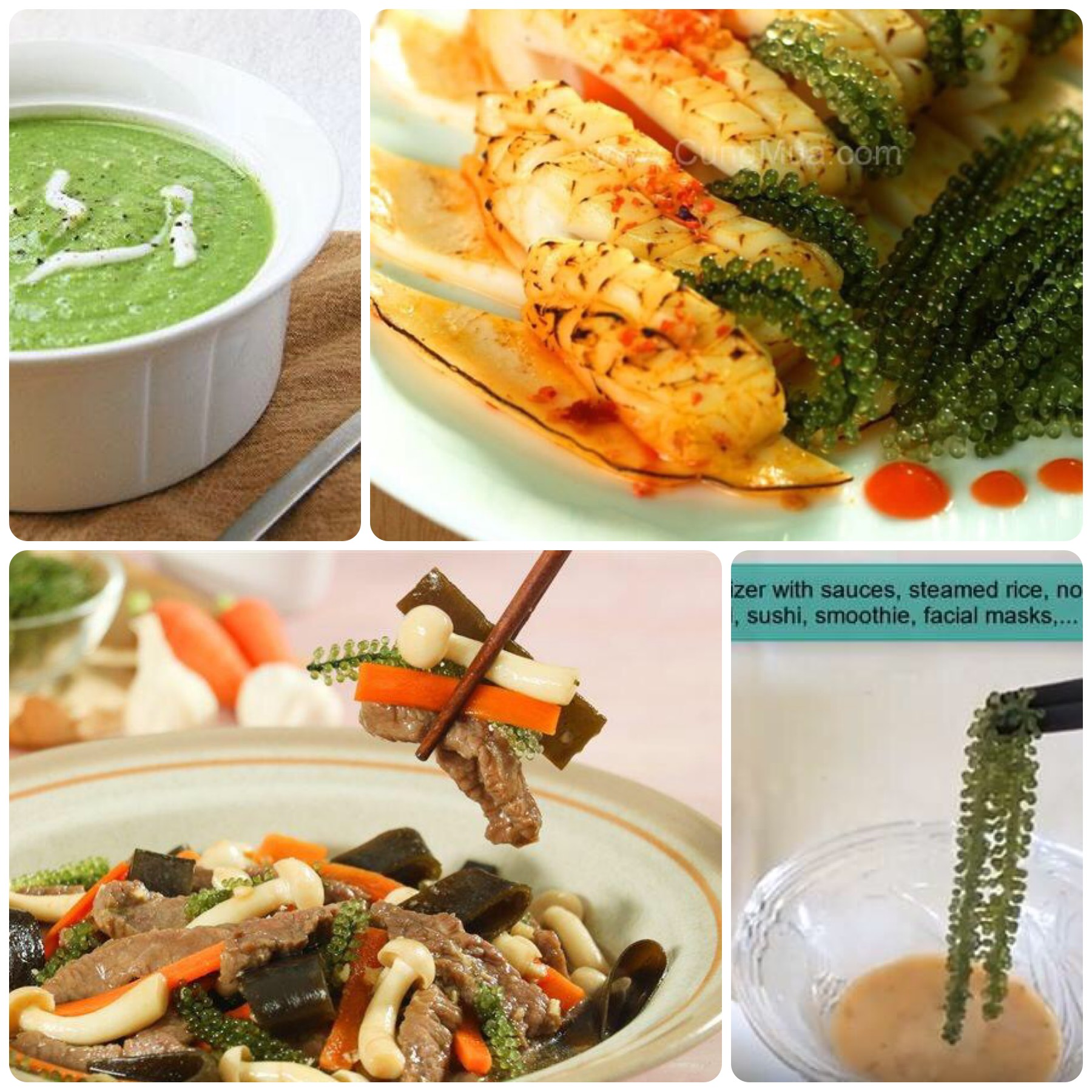 100gr Rong nho tách nước Khánh Hòa