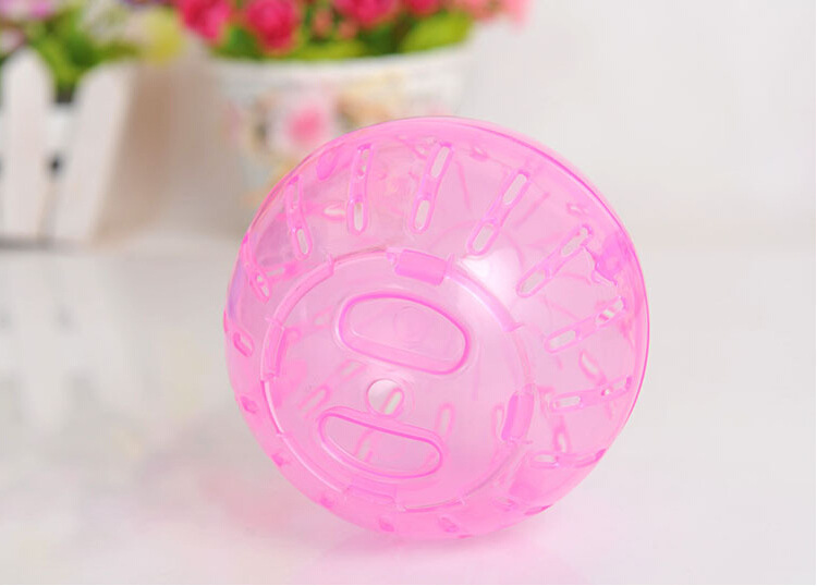 Banh chạy cho Hamster - 10cm