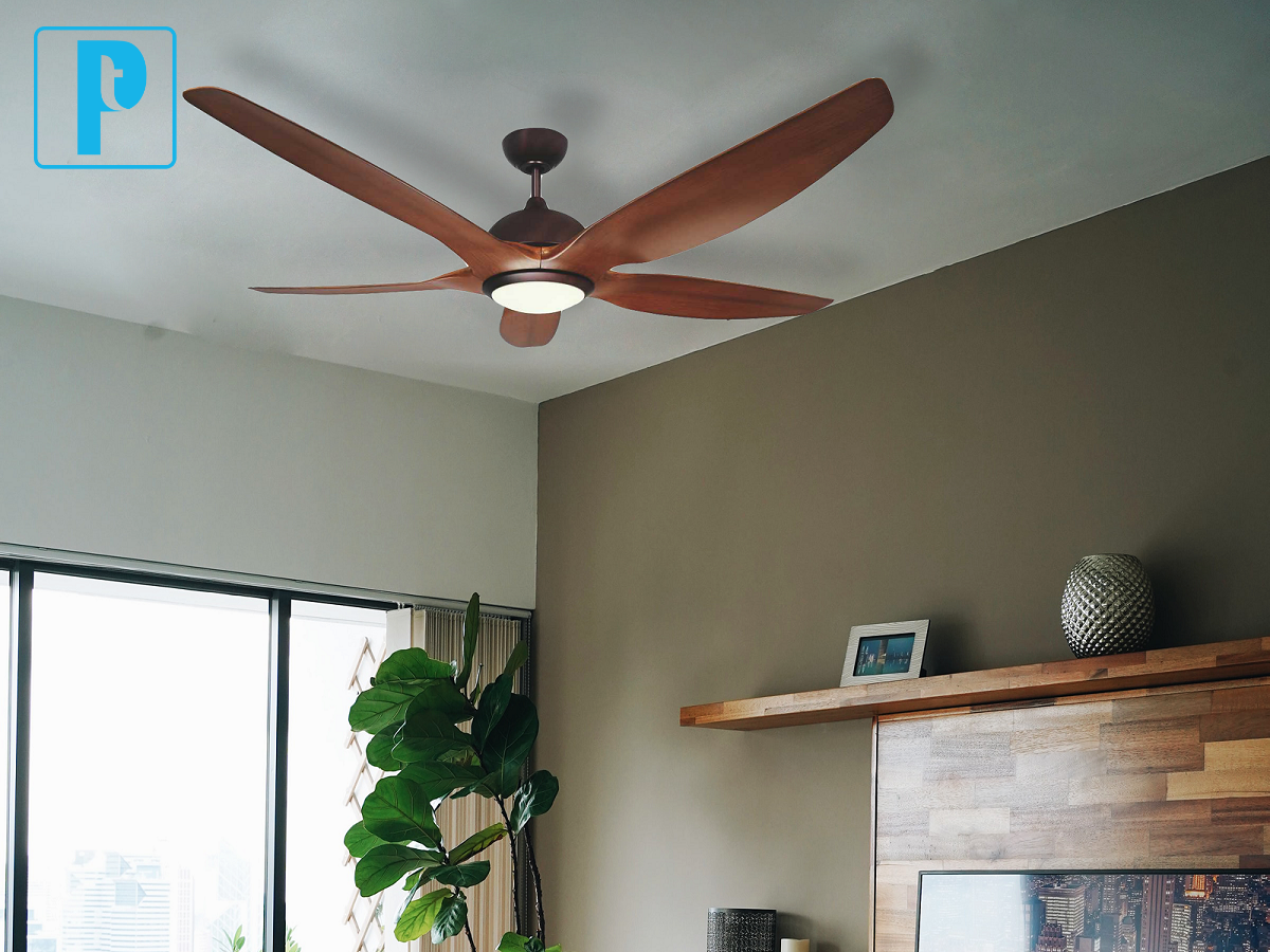 QUẠT TRẦN DC ĐÈN LED SINWA TC29 (Hàng chính hãng)