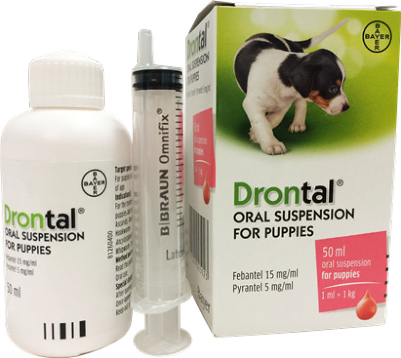 Drontal® Puppies cho Dog hàng của Bayer Đức