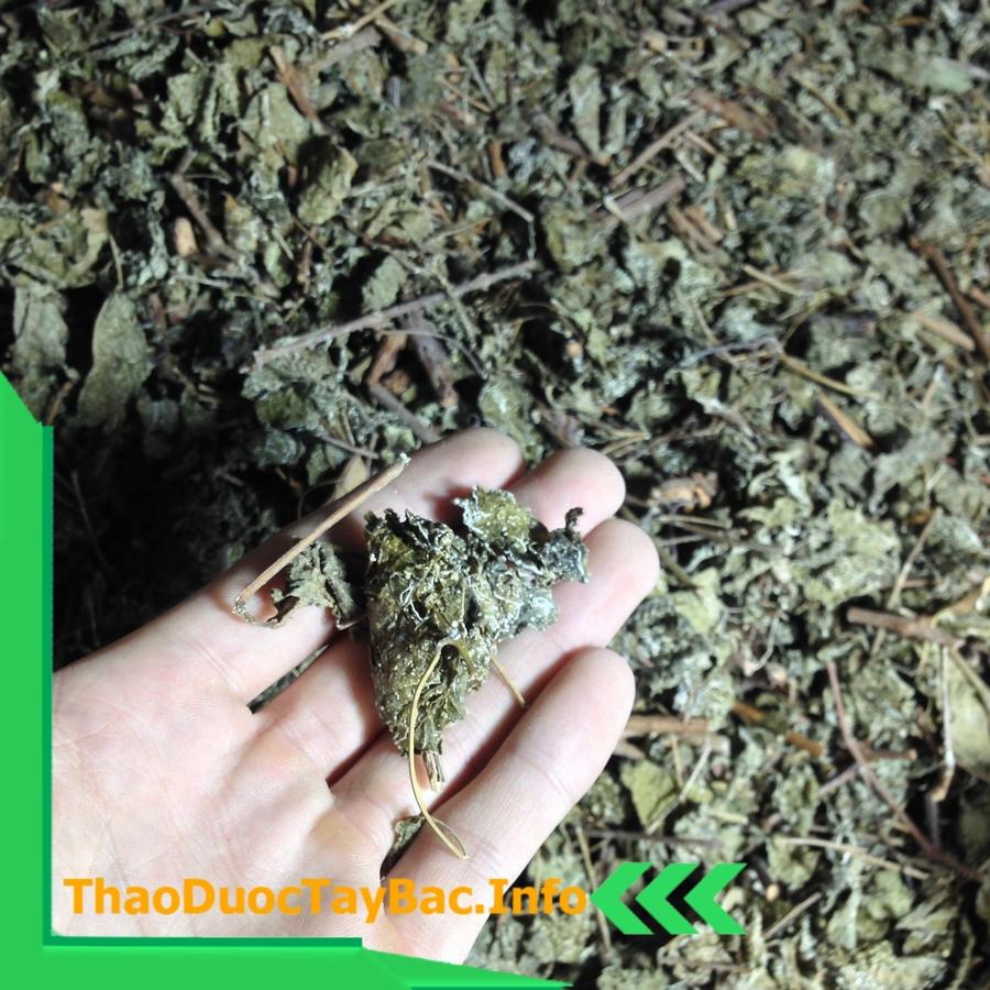 Combo 3Kg Cây An Xoa Tím