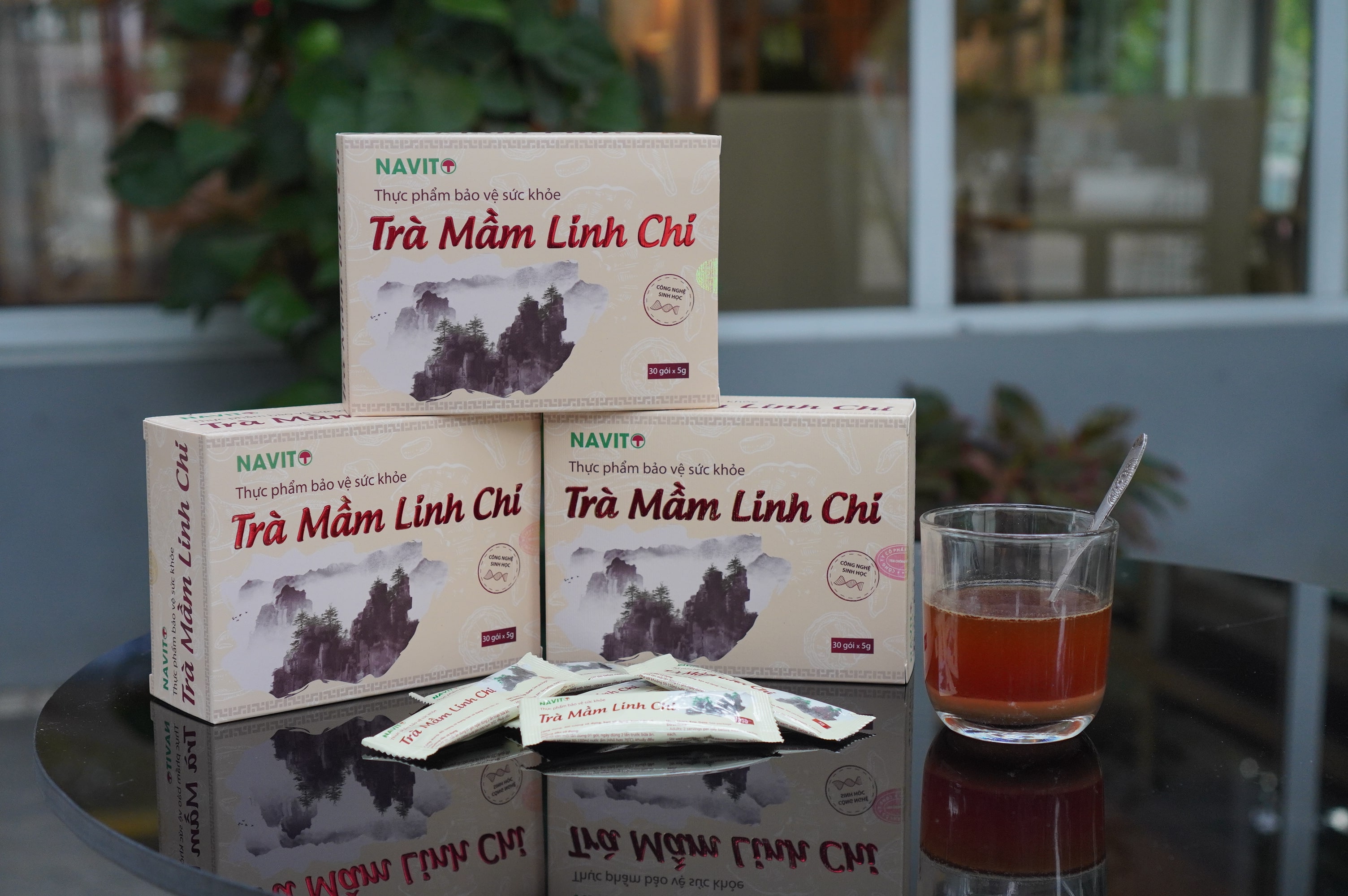 Trà mầm linh chi