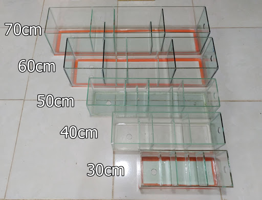 Lọc tràn trên 40cm cho bể cá cảnh
