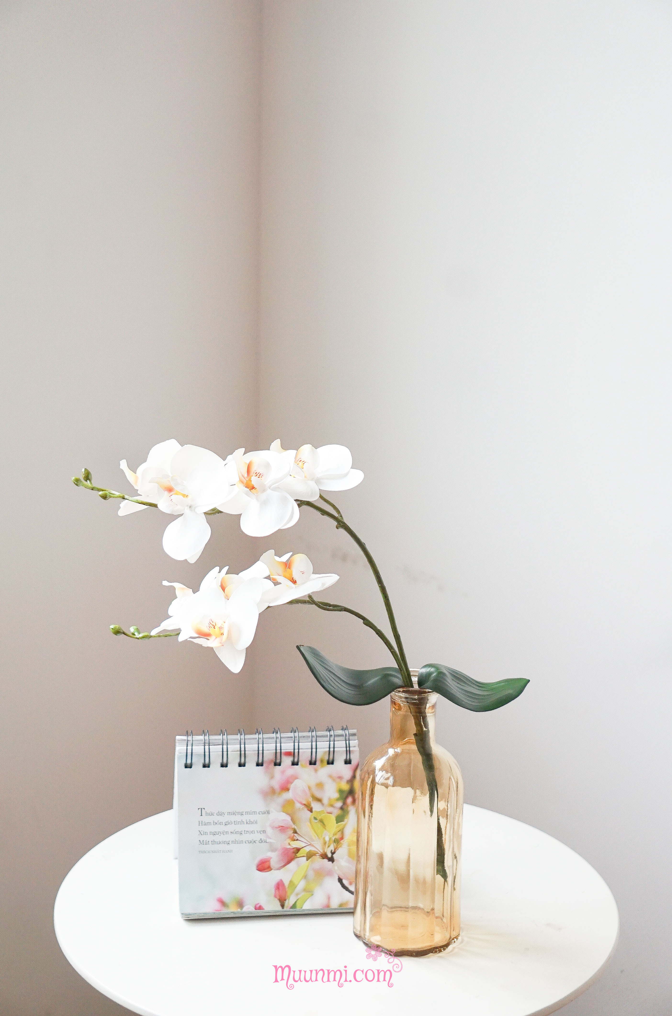 Hoa lụa 🌸 | Hoa Lan Hồ điệp (1 cây 2 nhánh hoa) rất đẹp
