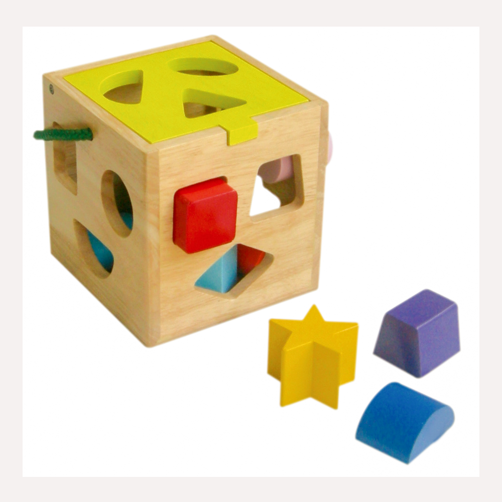 Đồ chơi gỗ Giỏ thả 12 khối Winwintoys 62022