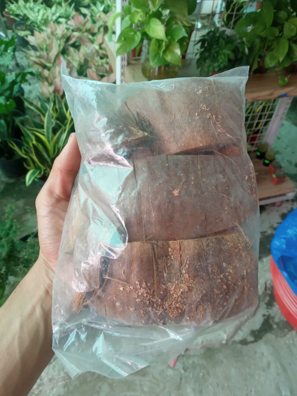 Xơ Dừa Đã Xử Lý Trồng Lan - Túi 200g