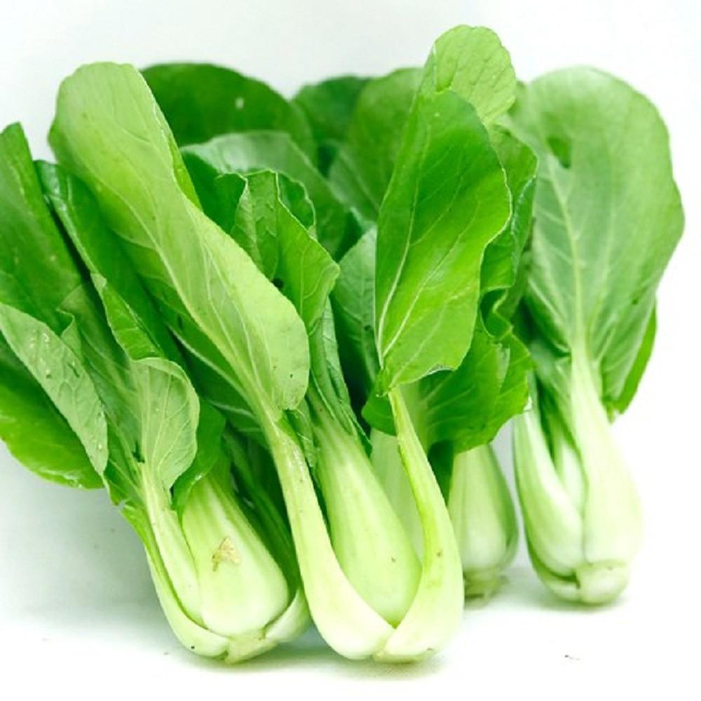 Gói 20g hạt giống cải thìa (cải chíp) cao sản Nanuseeds sinh trưởng khỏe phát triển mạnh mẽ tỉ lệ nảy mầm cao