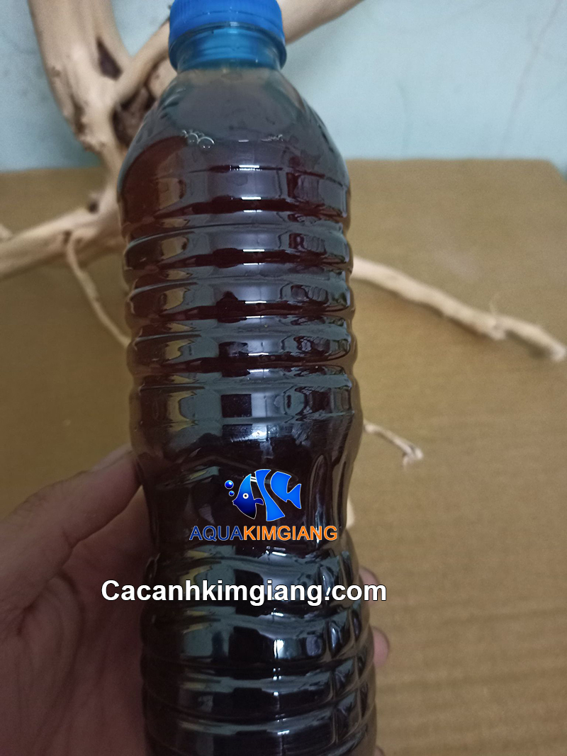 Nước cốt lá bàng khô