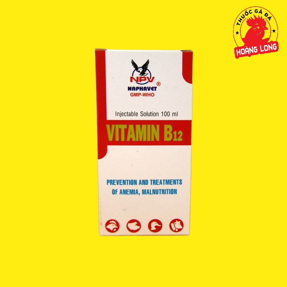 VITAMIN B12 100ML cho gà đá