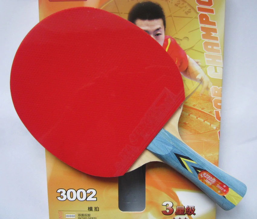 Vợt Bóng Bàn DHS 3002