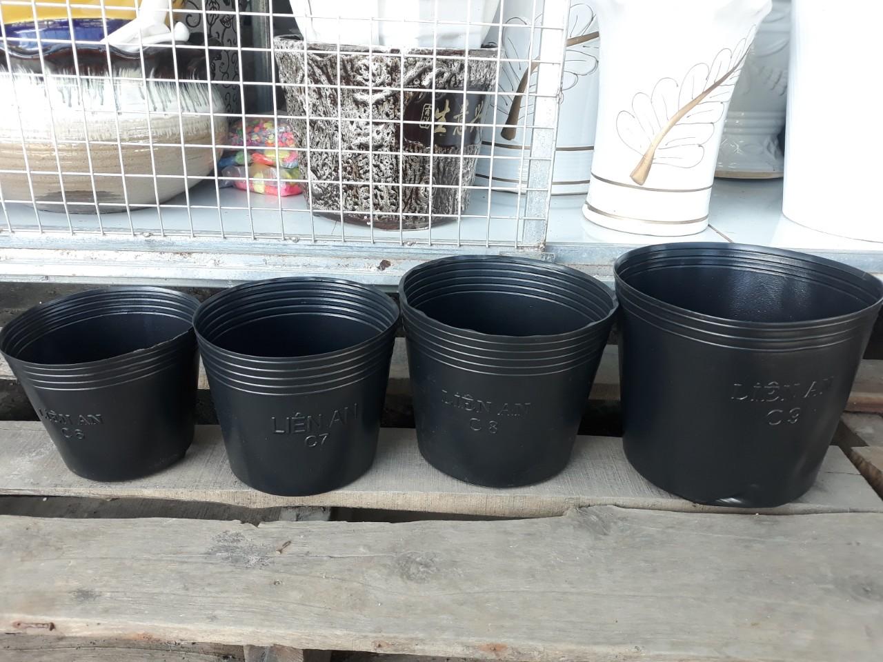 Combo 100c chậu nhựa mềm màu đen ươm cây C8 ( KT 18 x16 cm)