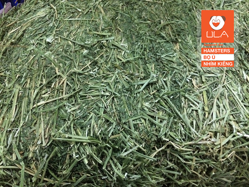 3kg cỏ Alfafa ( Cỏ Linh Lăng) khô