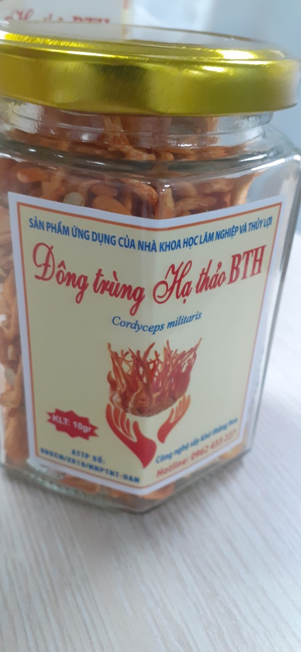 đông trùng hạ thảo công nghệ sấy thăng hoa BTH