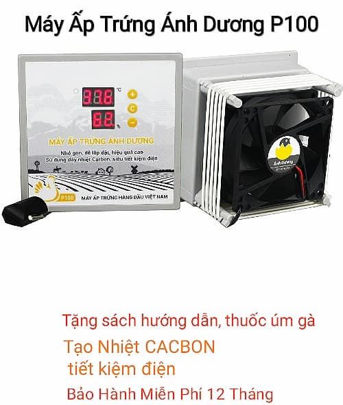 Máy ấp trứng Ánh Dương mini - P100 ấp 100 trứng - Tự Lắp Thùng Xốp