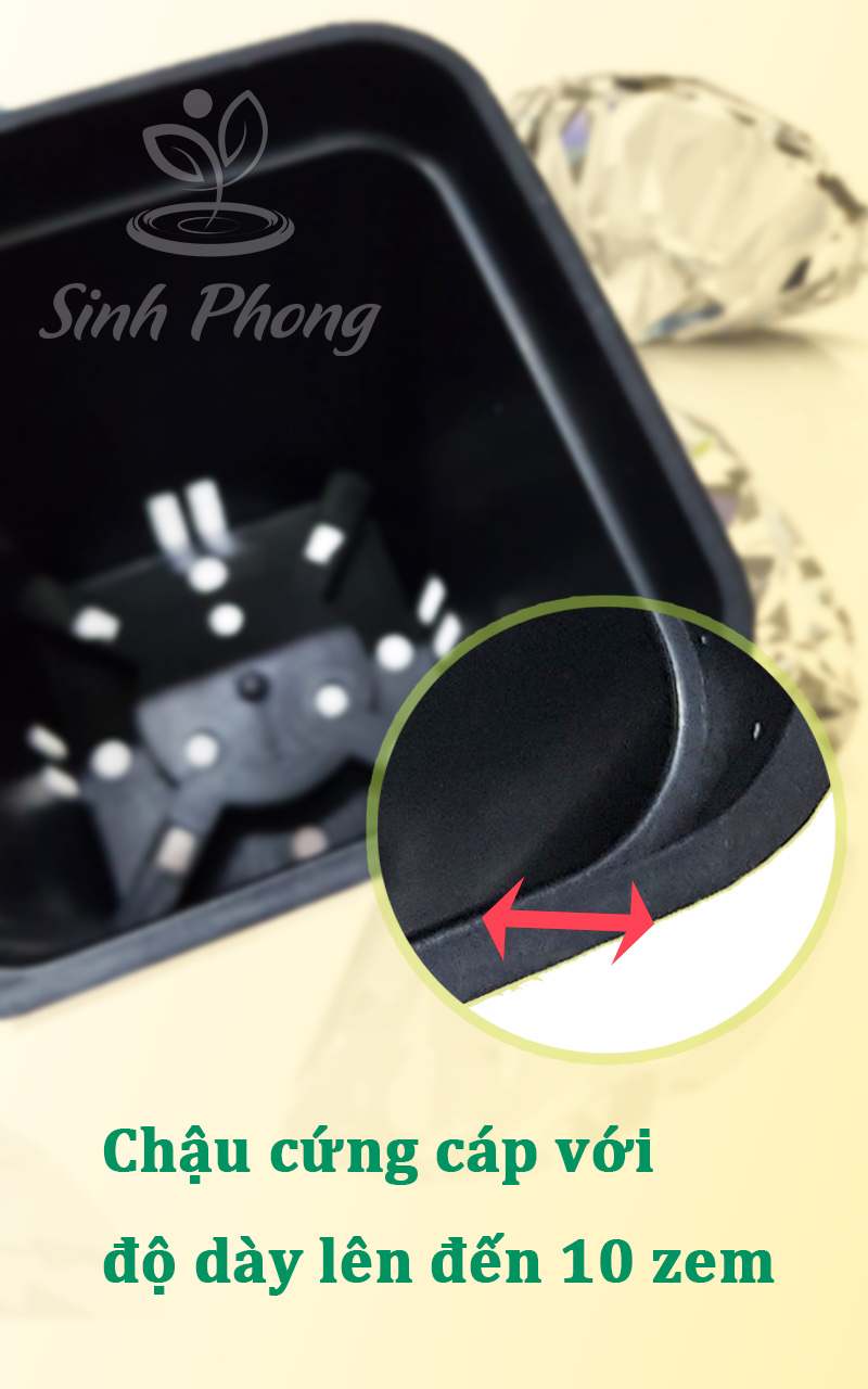 Chậu vuông 7x7 đen (set 50 cái)