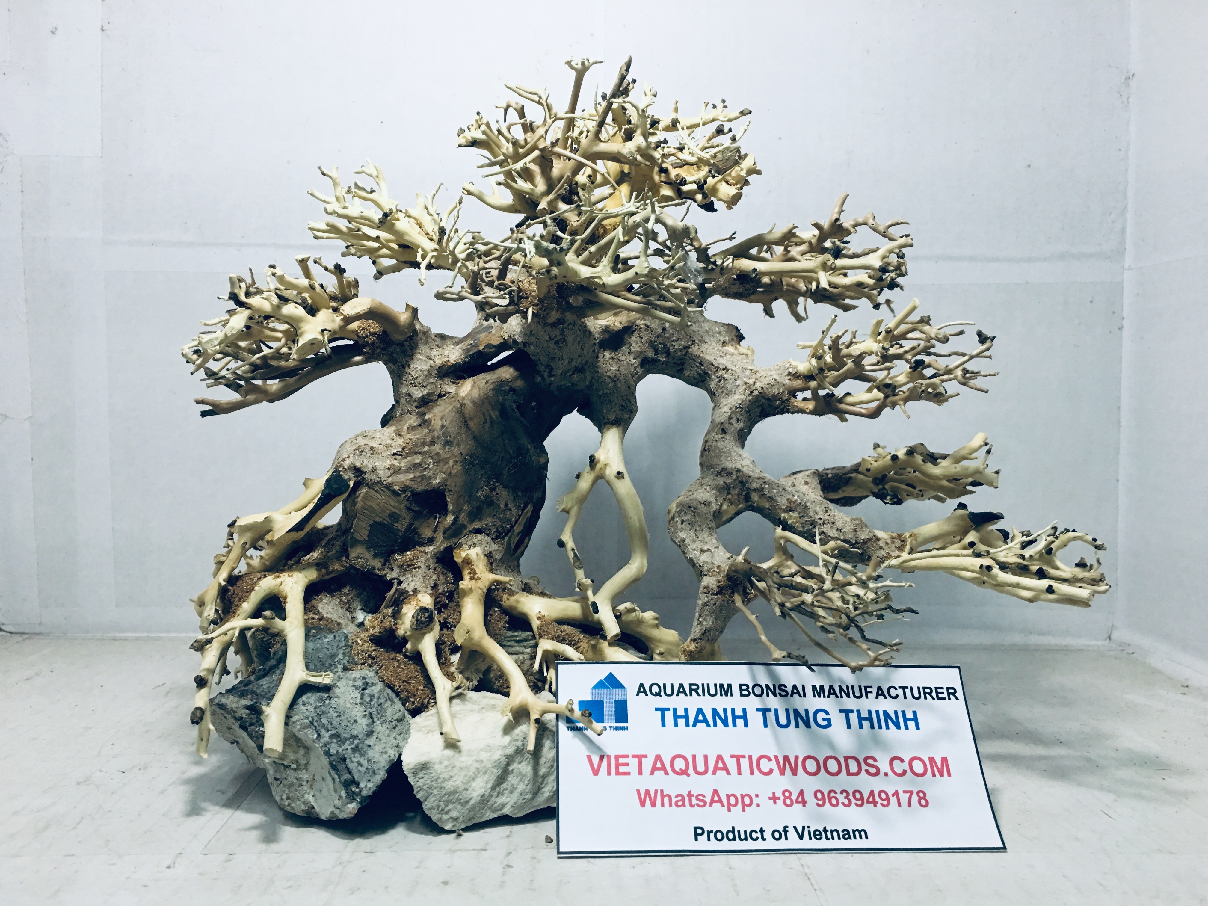 Cây Gỗ Lũa Bonsai Thủy Sinh Trang Trí Bể Cá Cảnh/ Aquarium Bonsai Driftwood No.22