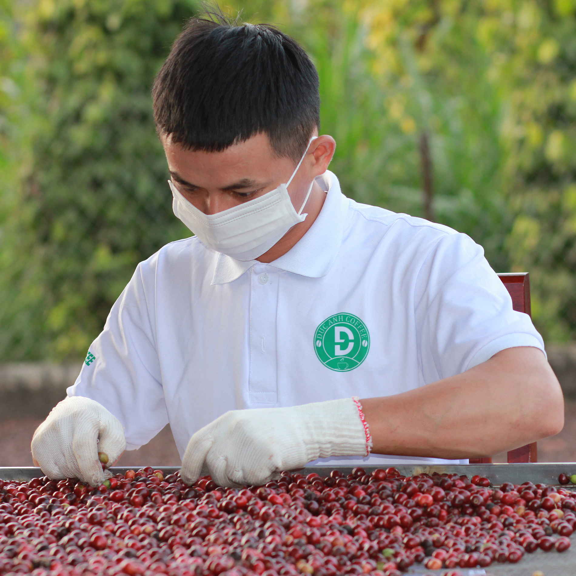 1kg cà phê bột pha máy Espresso ( 80% Robusta + 20% Arabica ) rang medium thương hiệu cà phê rang mộc DUC ANH COFFEE